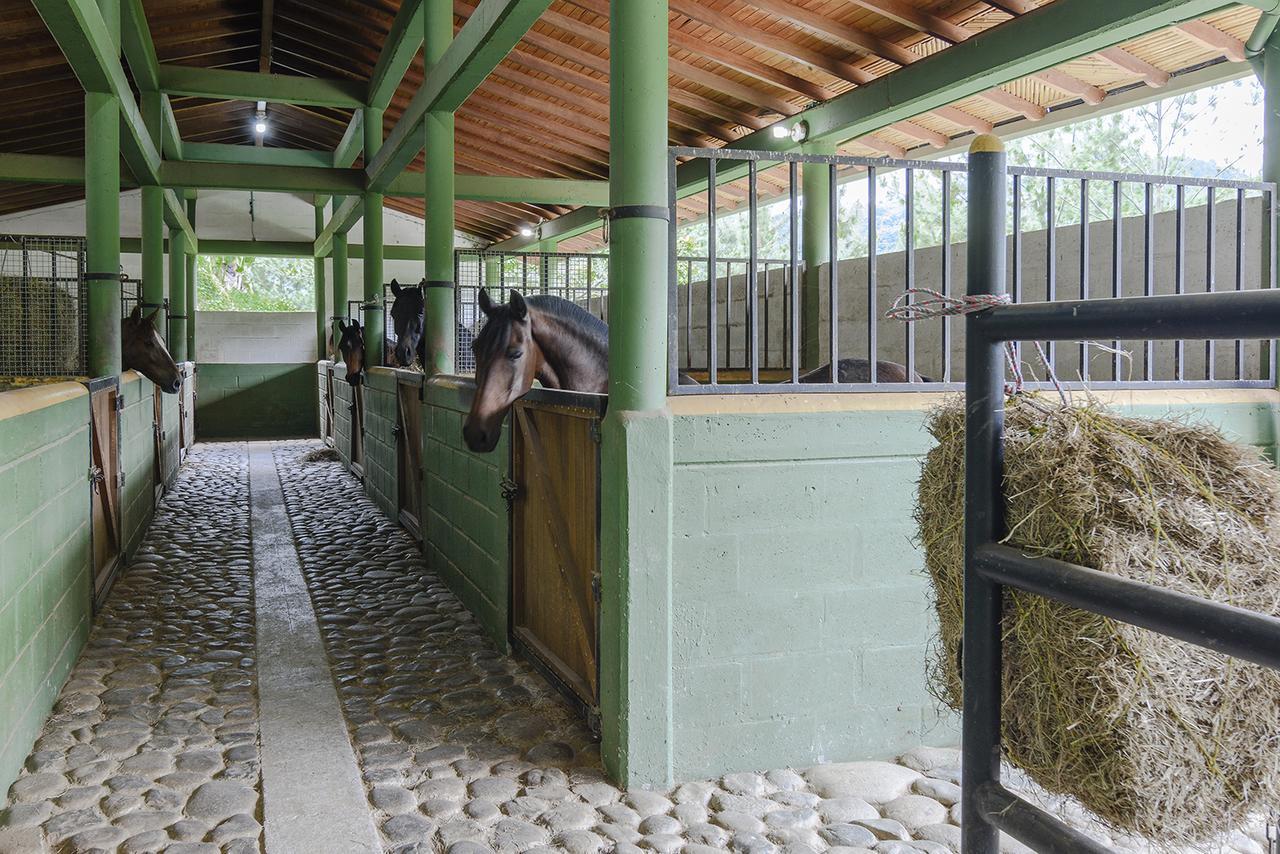 Finca Boutique El Diamante Salgar  Εξωτερικό φωτογραφία