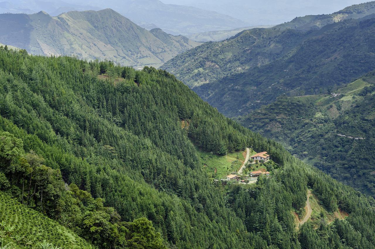 Finca Boutique El Diamante Salgar  Εξωτερικό φωτογραφία